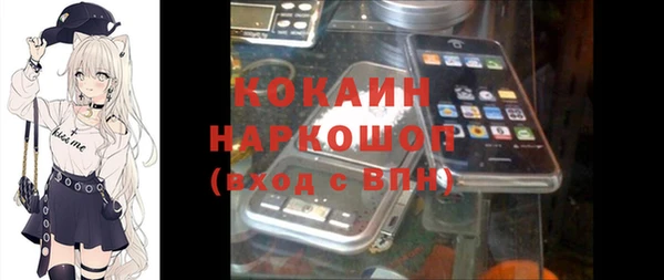 мяу мяу мука Бородино