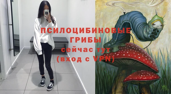 мяу мяу мука Бородино