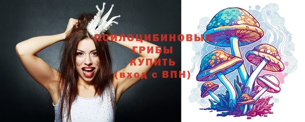 твердый Бронницы
