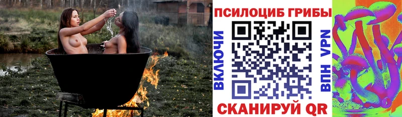 Псилоцибиновые грибы ЛСД  Безенчук 